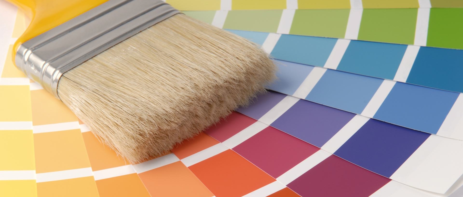 Painter W11